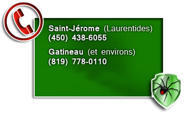 Saint-J�rome, Gatineau, Laurentides, Outaouais Saint-Jérome, Gatineau, Laurentides, Outaouais
